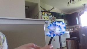 chroma flowers