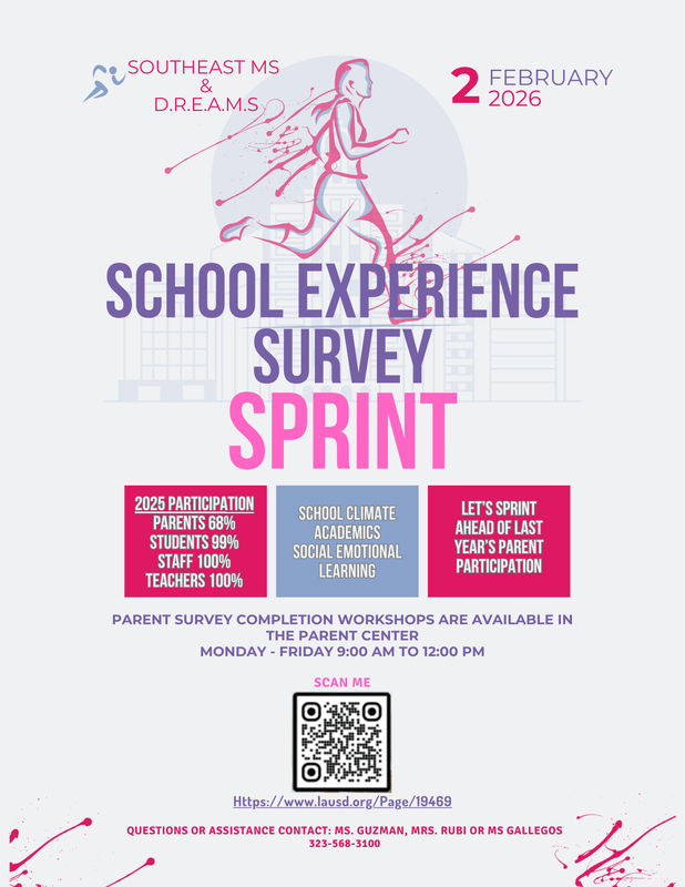 SES Flyer
