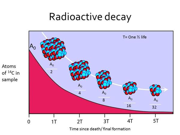 Half Live & Radioactive Decay in C-14.jpg