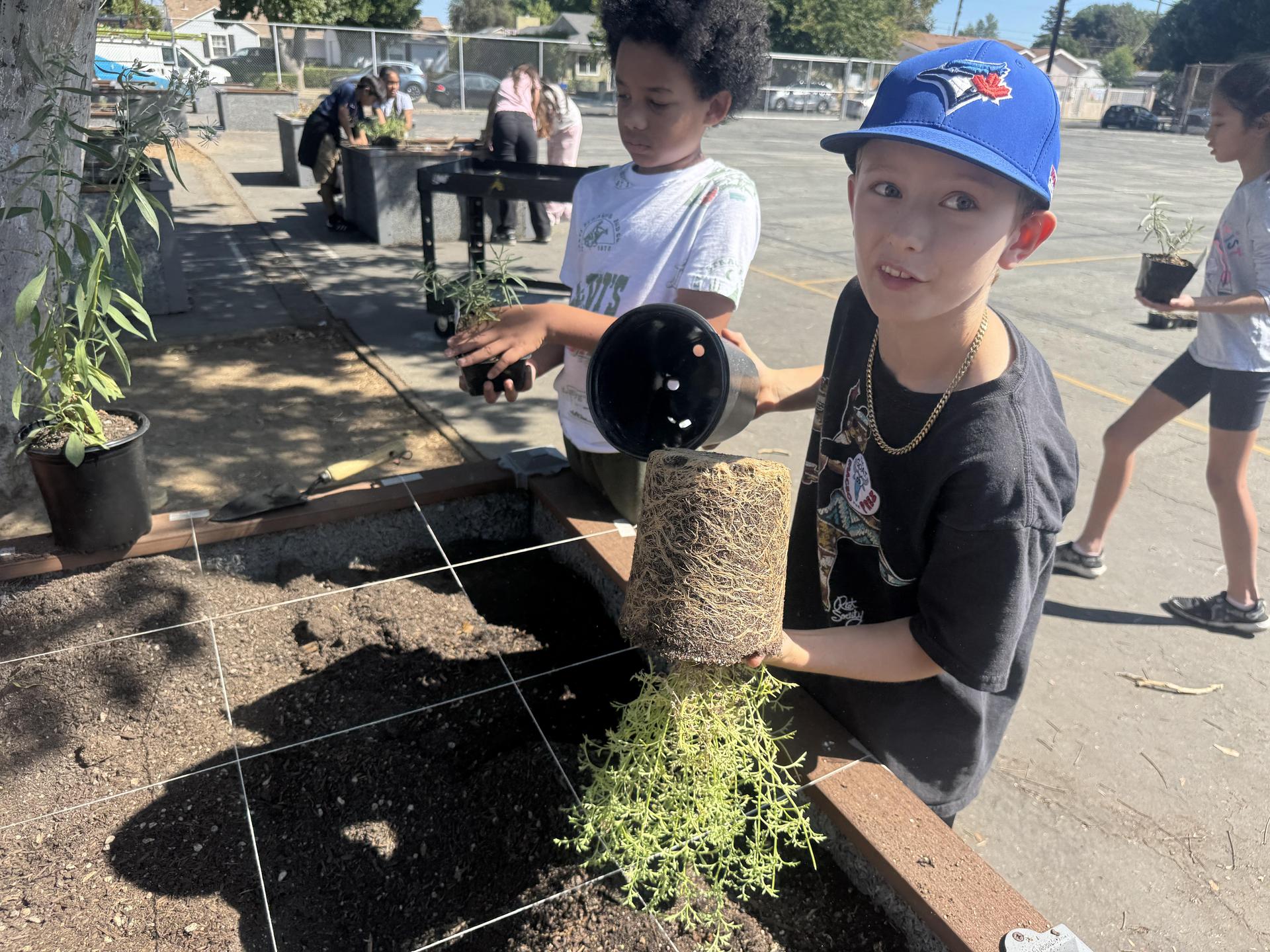 Lorne's Monarch Butterfly Sanctuary Garden