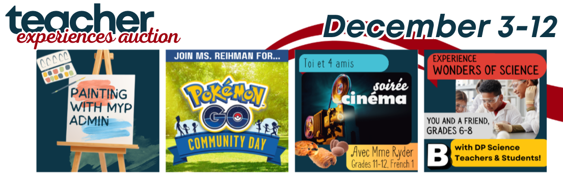 Auction items like science wonder, painting with MYP admin, and more