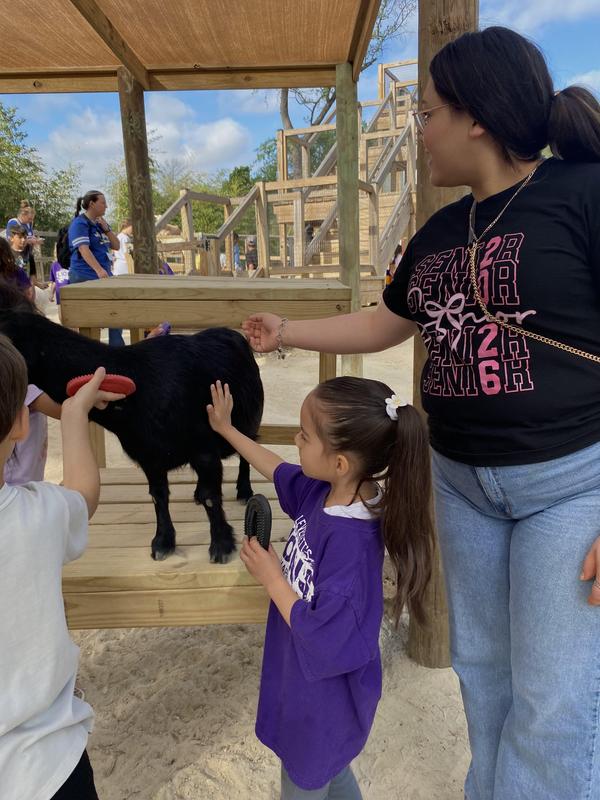 PreK and Kinder at the zoo.