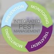Integrated Pest Managemenet
