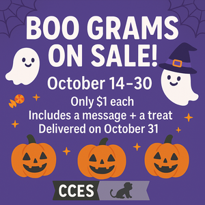 Boo Grams Sale