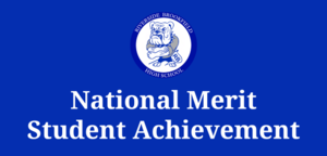 національна заслуга досягнення.png