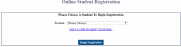 activeparent window
