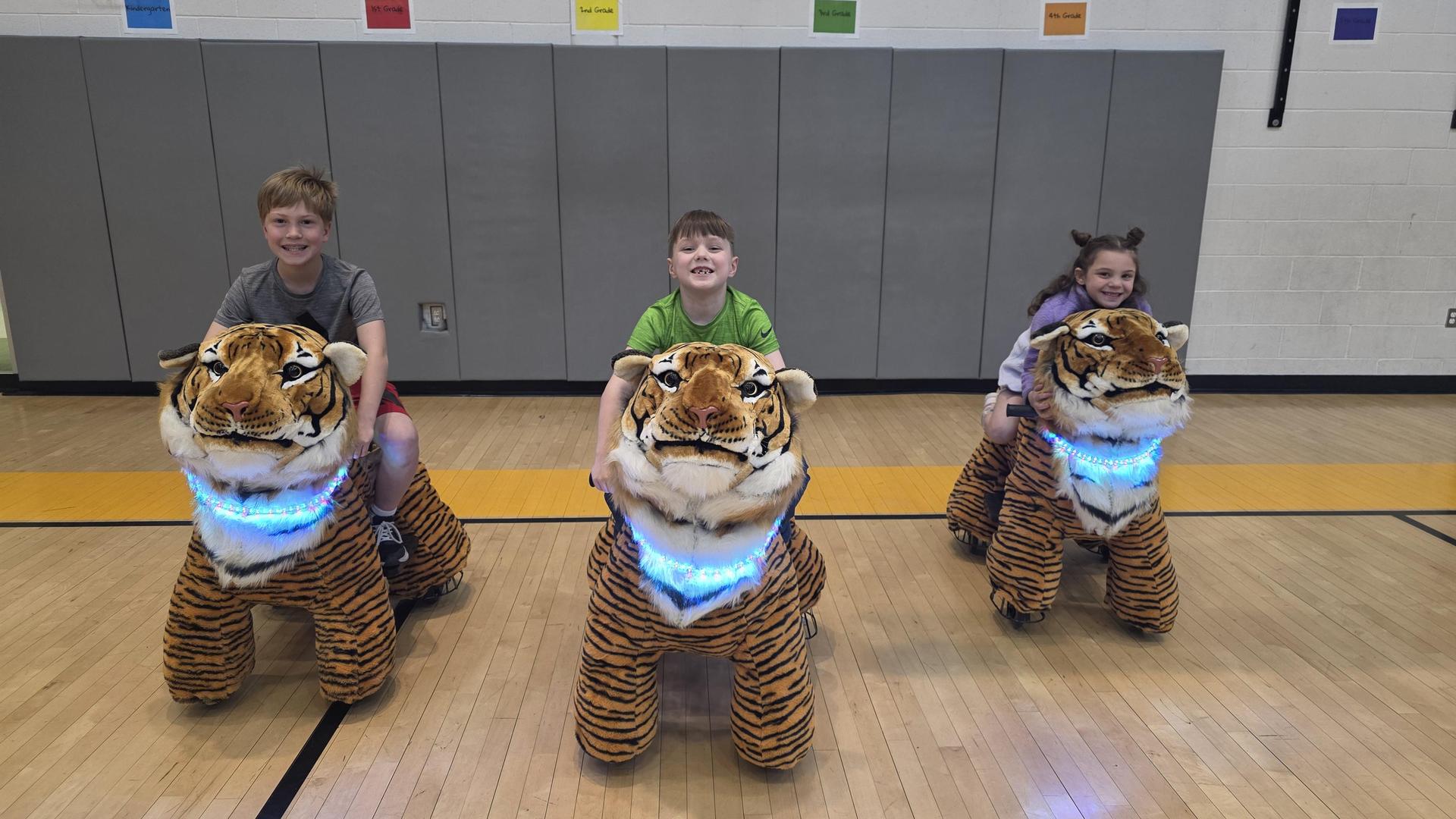 SWPBIS Electric Tiger Scooters
