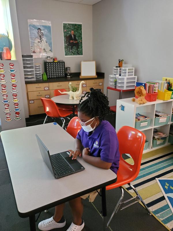 Scholar using a computer