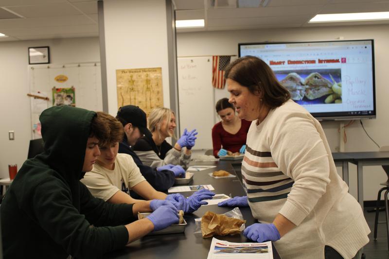 teacher talking to two male students while students look at dissected sheep heart
