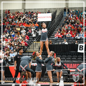 SENTINEL SPIRIT SHINES AT THE STATE CHAMPIONSHIPS