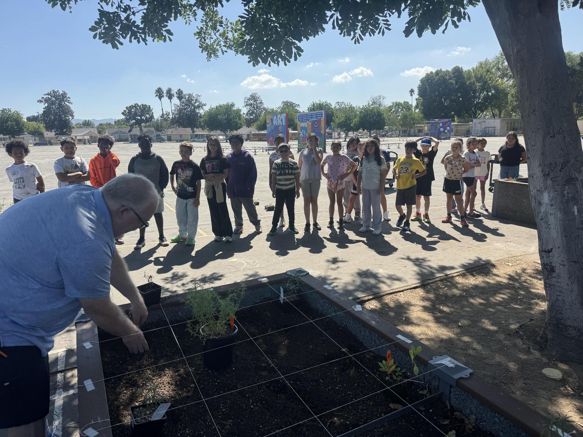 Lorne's Monarch Butterfly Sanctuary Garden
