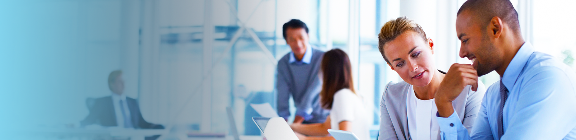 people looking at phone