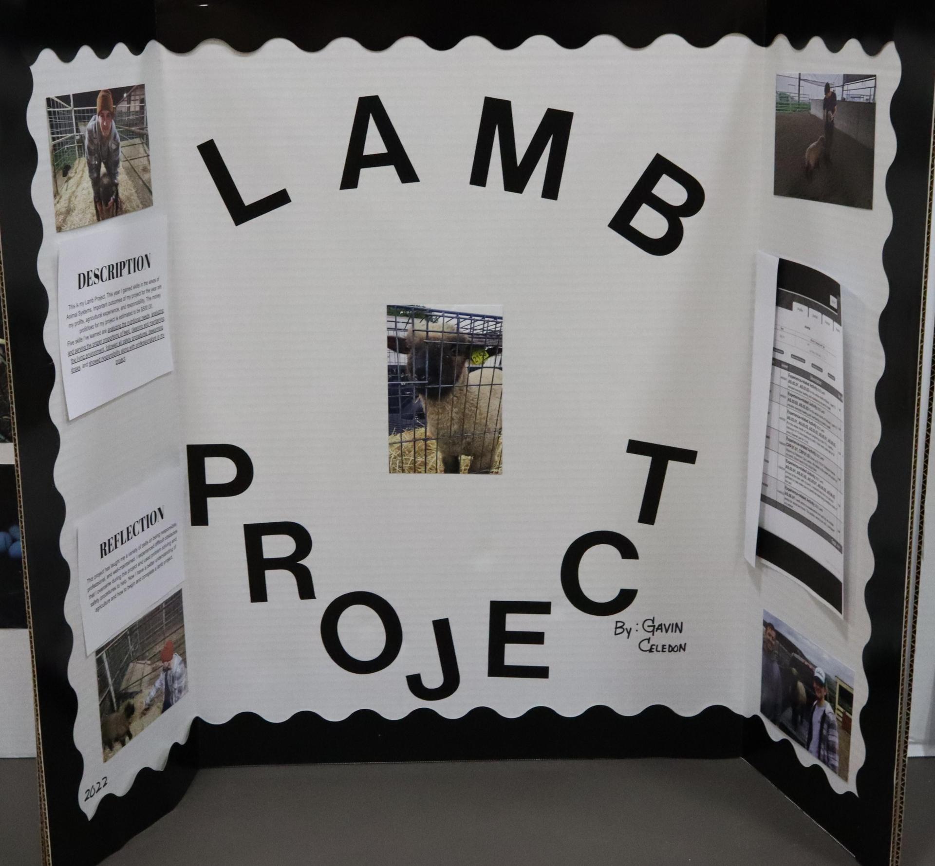 A Supervised Agricultural Experience trifold display