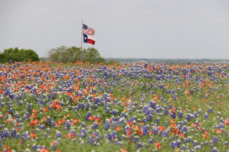 American and Texas flag