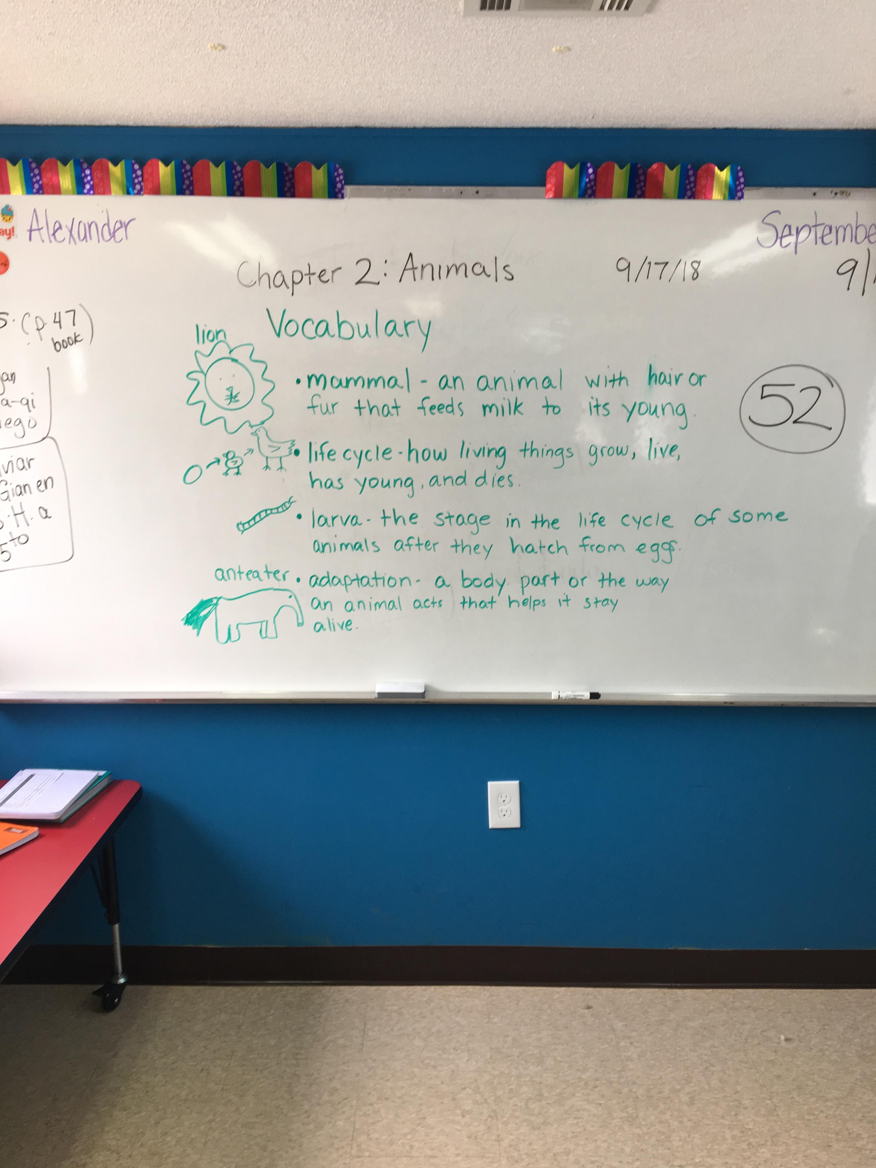 2nd Grade Class 9/17/18