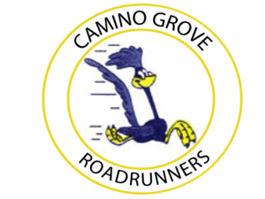 School Roadrunner Logo