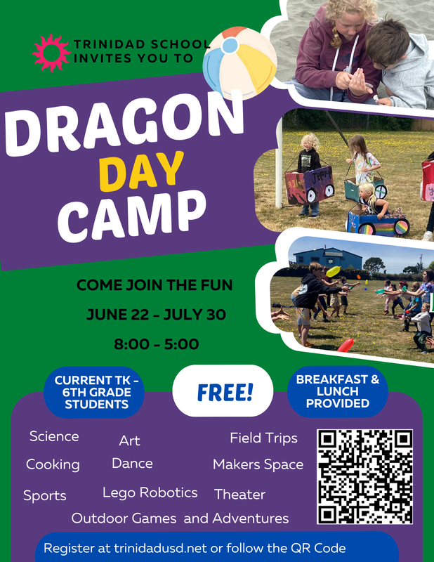 Dragon Day Camp Registration Featured Photo