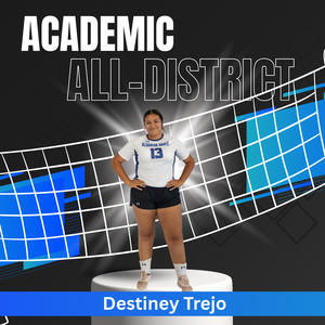 Academic - Destiney.png