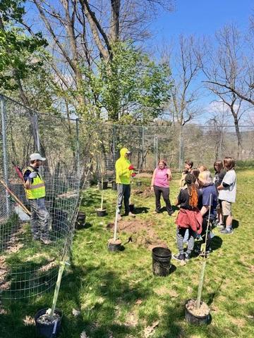 Learning About Tree Revitalization