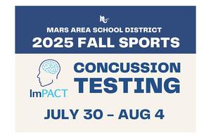 ImPACT computer-based concussion testing