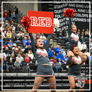 SENTINEL SPIRIT SHINES AT THE STATE CHAMPIONSHIPS