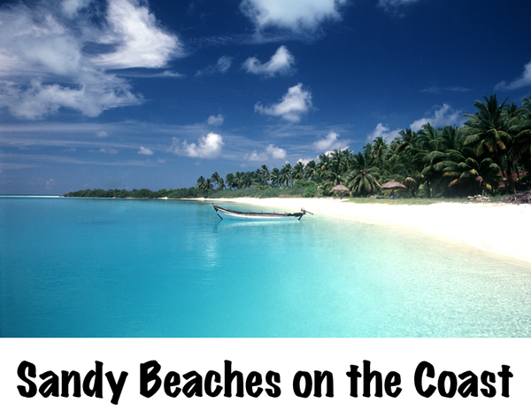 Sandy Beaches on the Coast.png