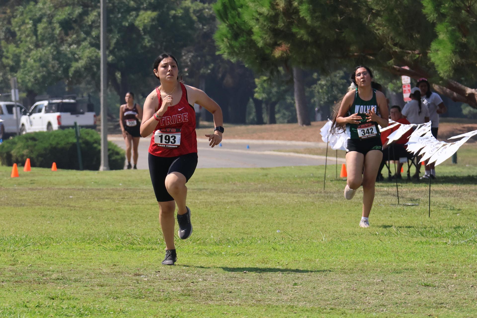 cross country runners in action at woodward park