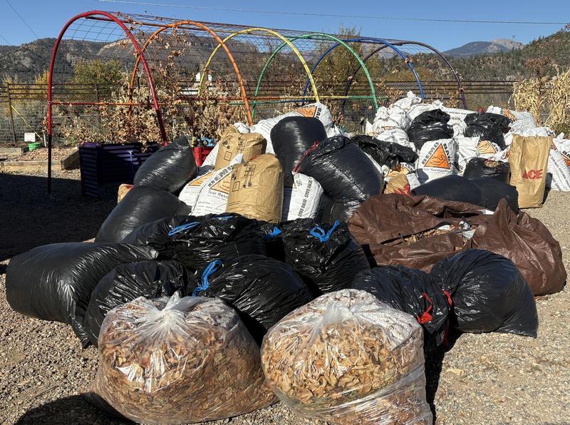 Large bags of leaves stacked in a huge pile