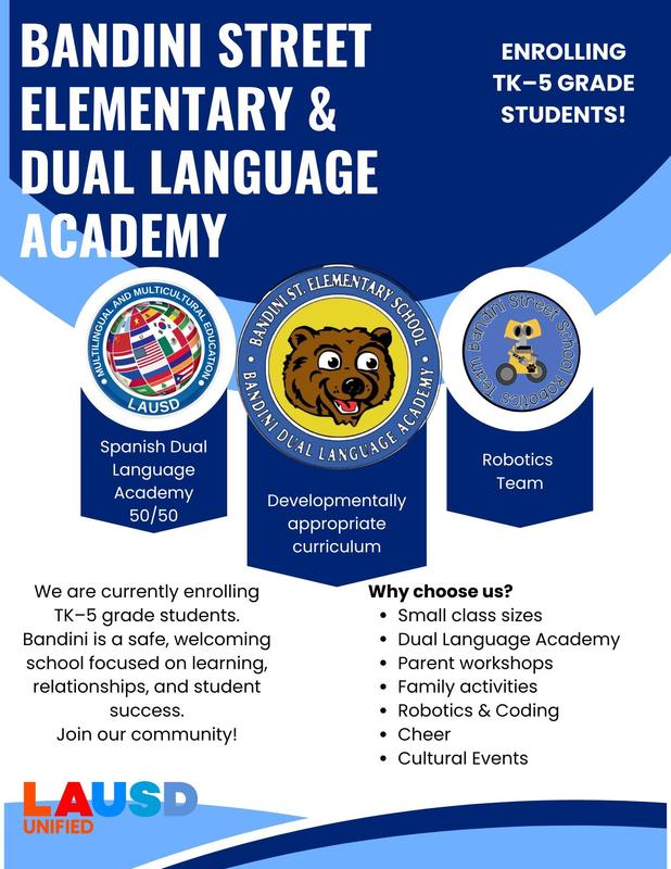 School Flyer