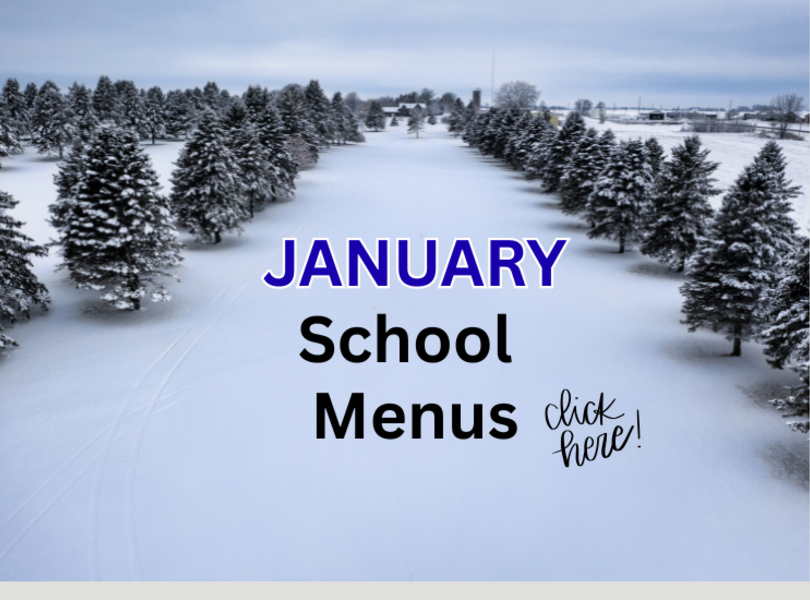 Jan School Menus