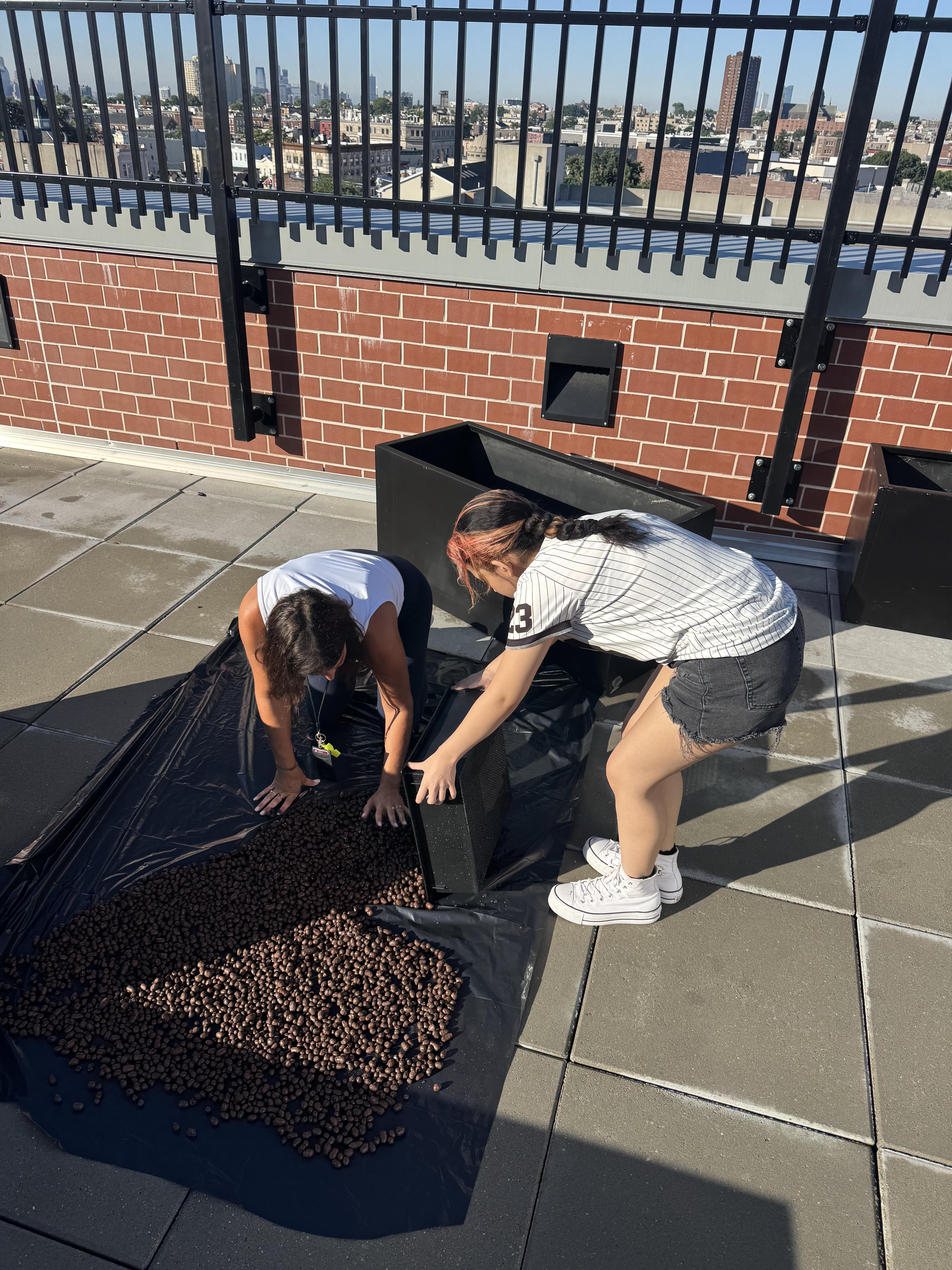 Summer Hydroponics & Aquaponics at the Esther Salas Academy