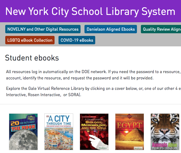 New York City School Library System