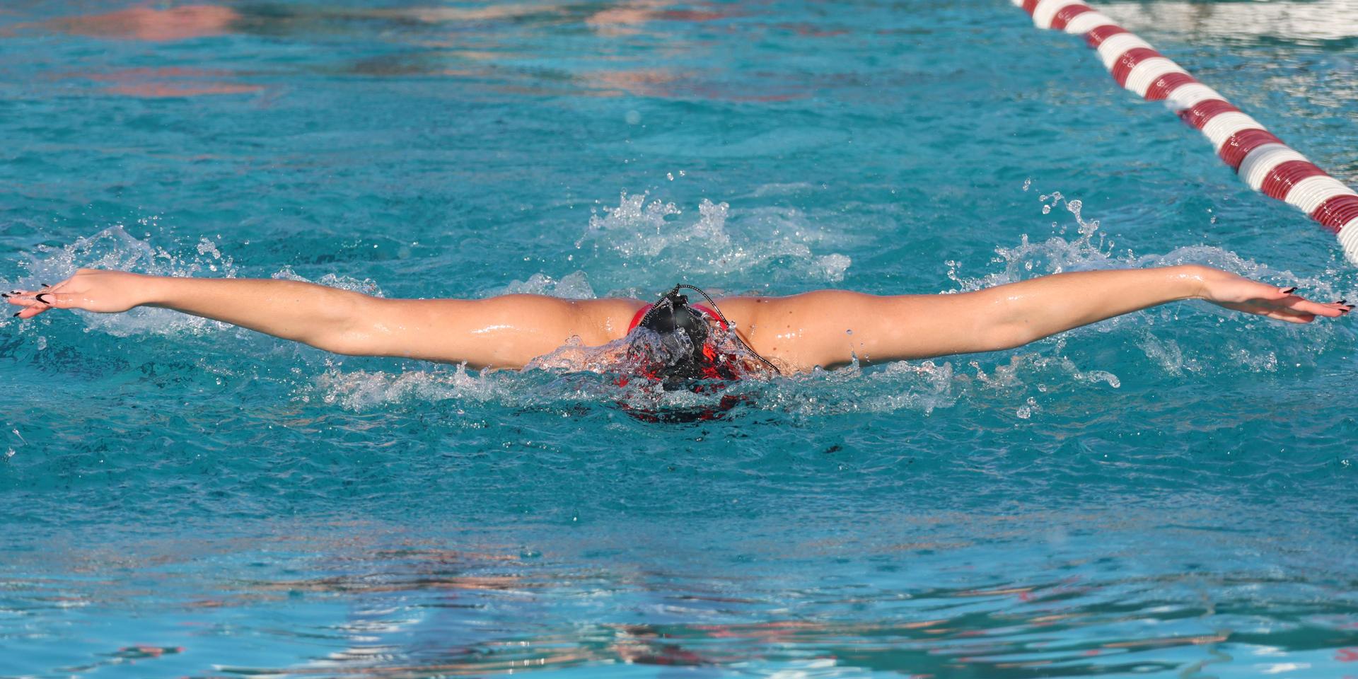 Giselle Andrade swimming