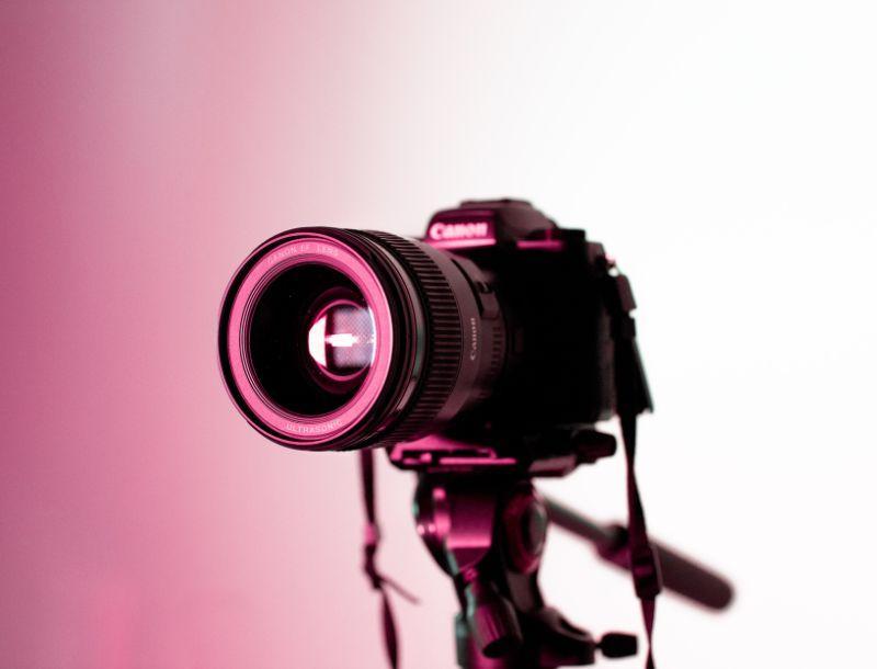 Spring Picture Ordering Information Featured Photo