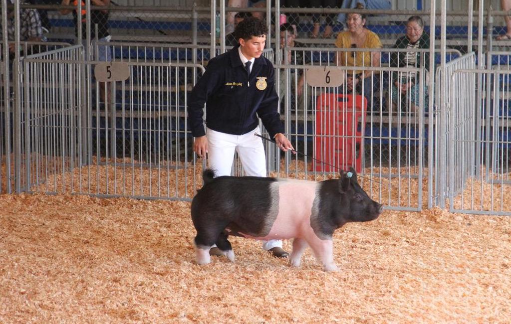 FFA student