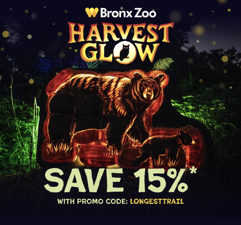 Bronx Zoo Harvest Glow Featured Photo