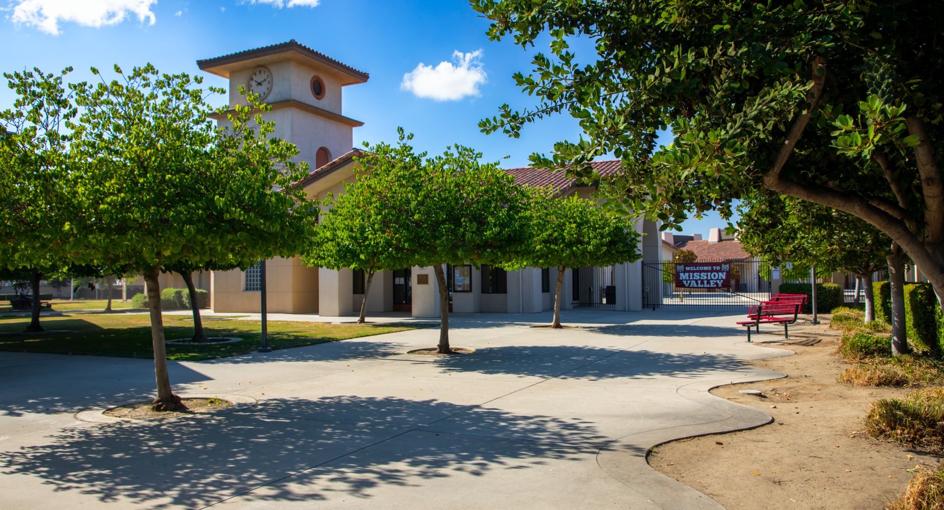 A pathway lined with trees leading to a building with a clock tower.
