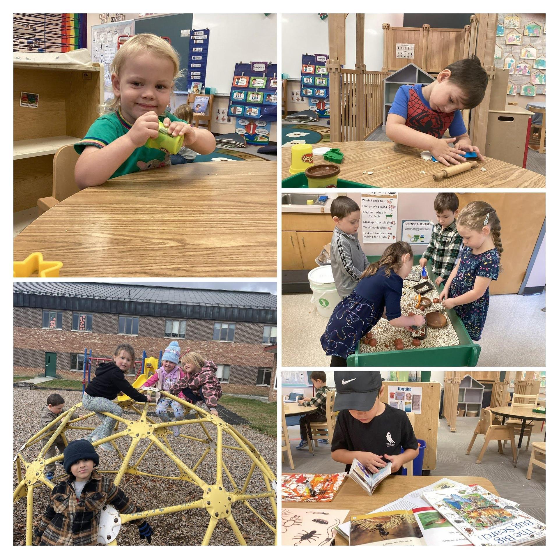 prek picture collage