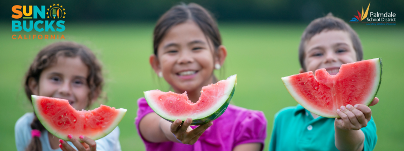 SUN Bucks Banner image