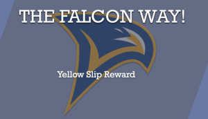 Falcon Way Website Image.png