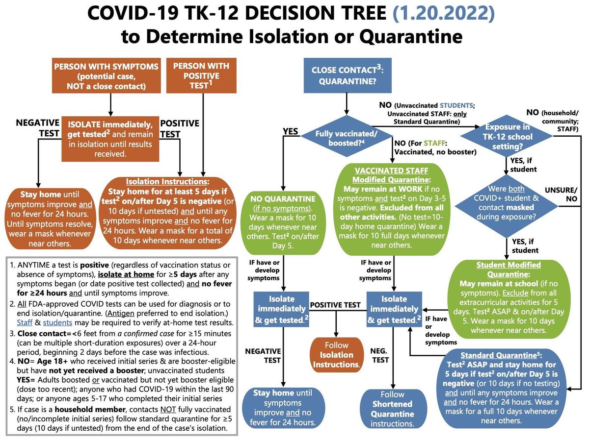 Decision Tree