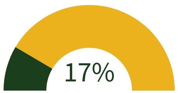graph showing 17% raised of goal