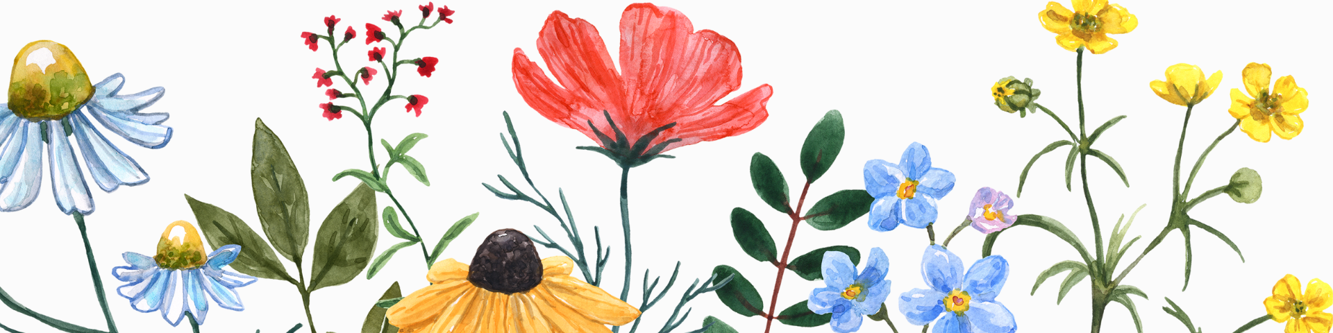 Wildflowers