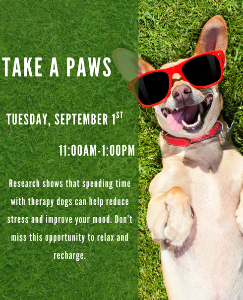 Take a Paws