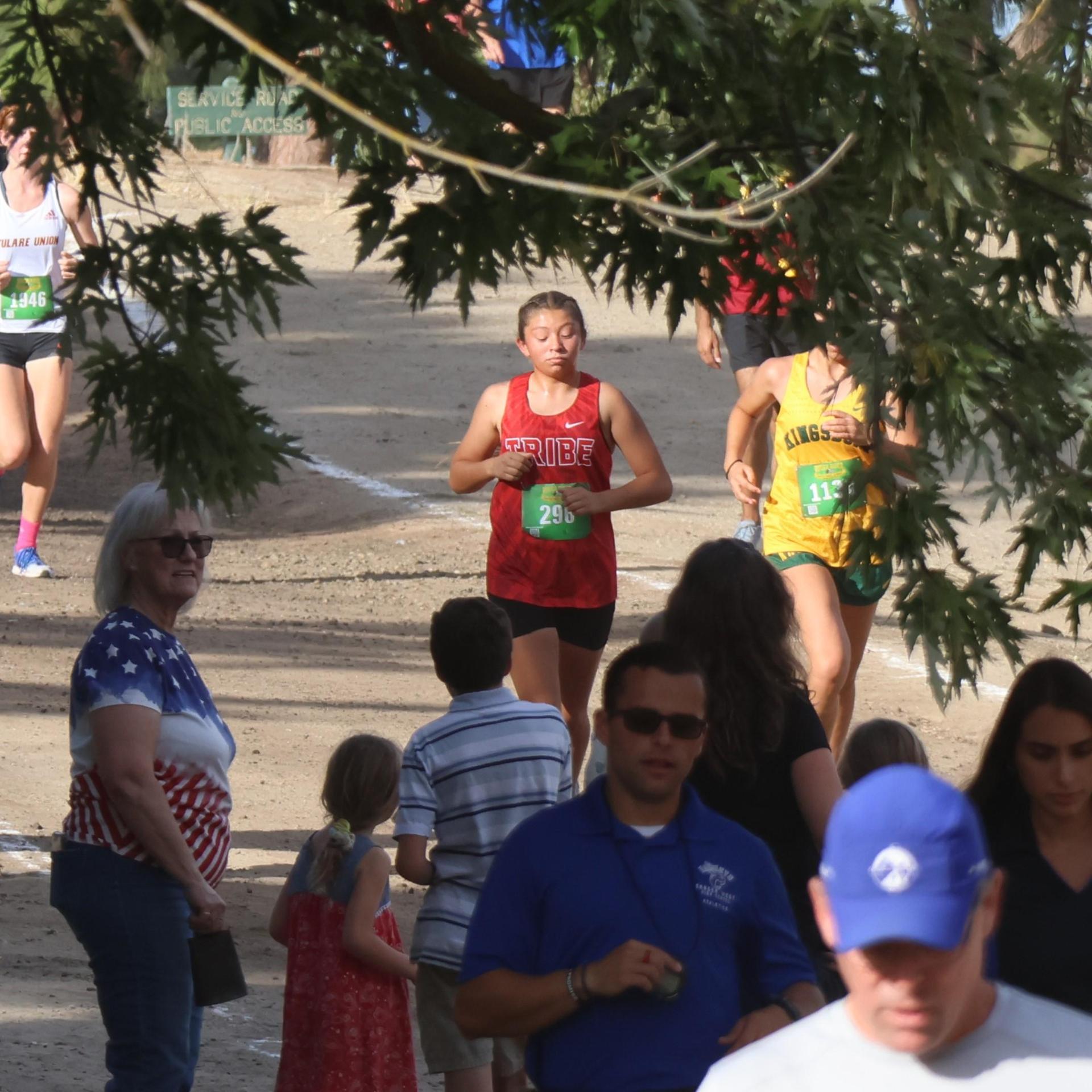 cross country runners in action