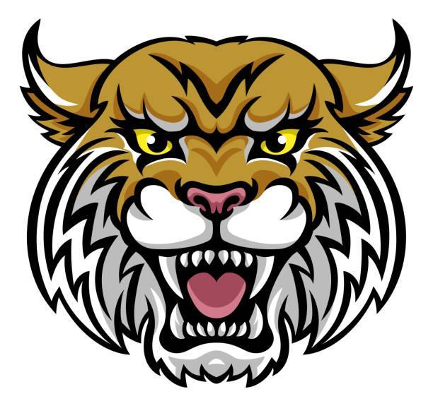 Wildcat Logo