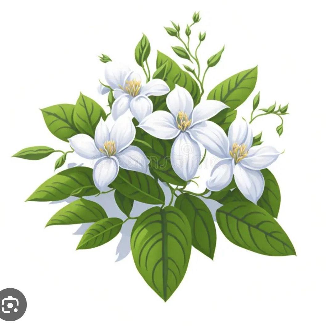 NitaMorales's Profile Photo