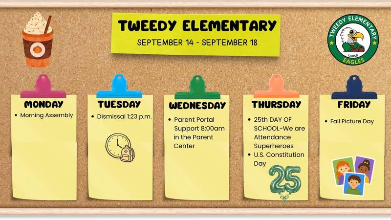 Weekly news from the bulletin