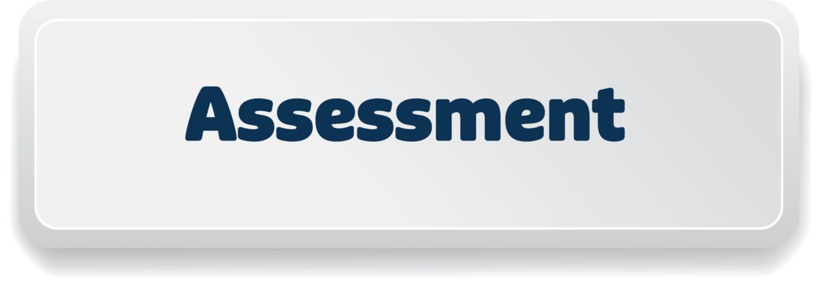 Assessment