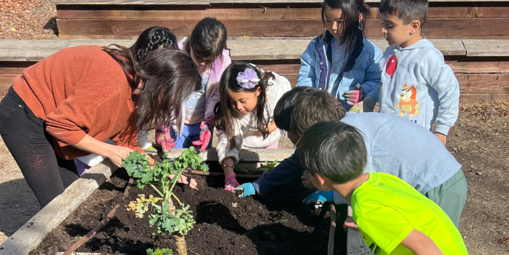 A group of children and an adult gardening, planting seeds in a raised bed.